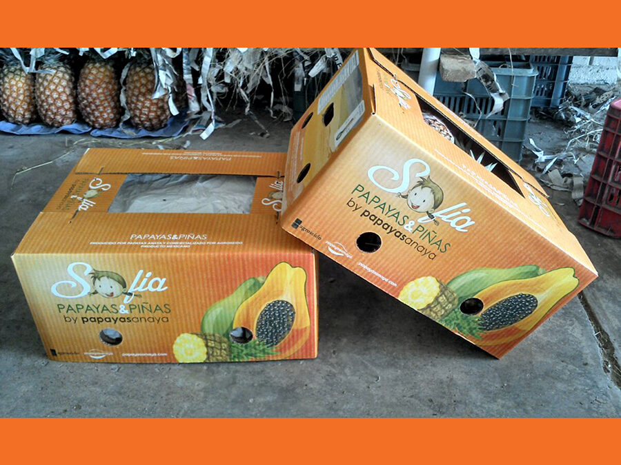 Sofia Papayas & Piñas Boxes