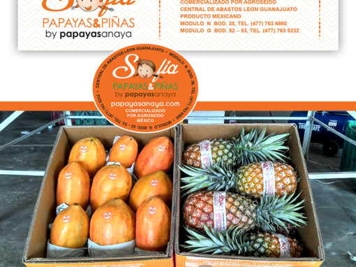 Sofia Papayas & Piñas Labels